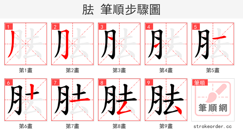 胠 的笔顺分步演示（一笔一画写字）