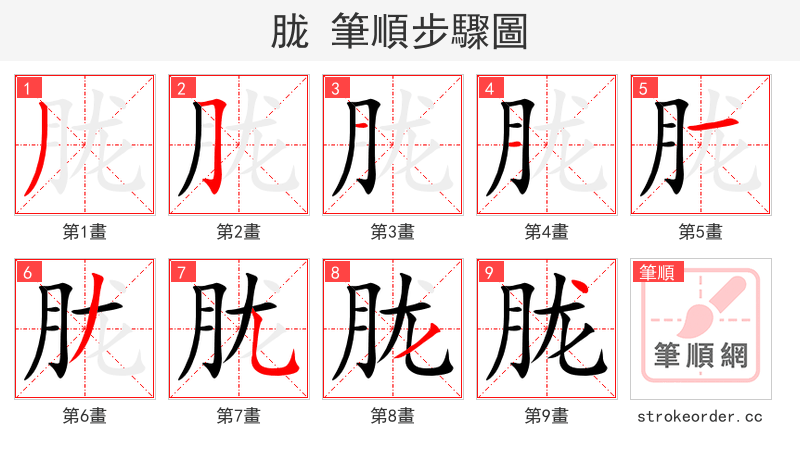 胧 的笔顺分步演示（一笔一画写字）