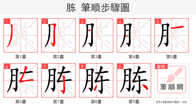 胨 的笔顺分步演示（一笔一画写字）