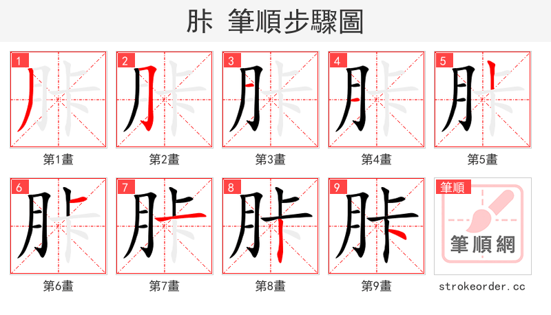 胩 的笔顺分步演示（一笔一画写字）