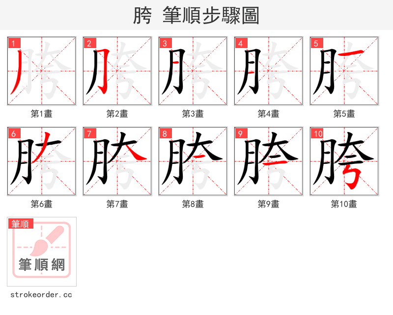 胯 的笔顺分步演示（一笔一画写字）