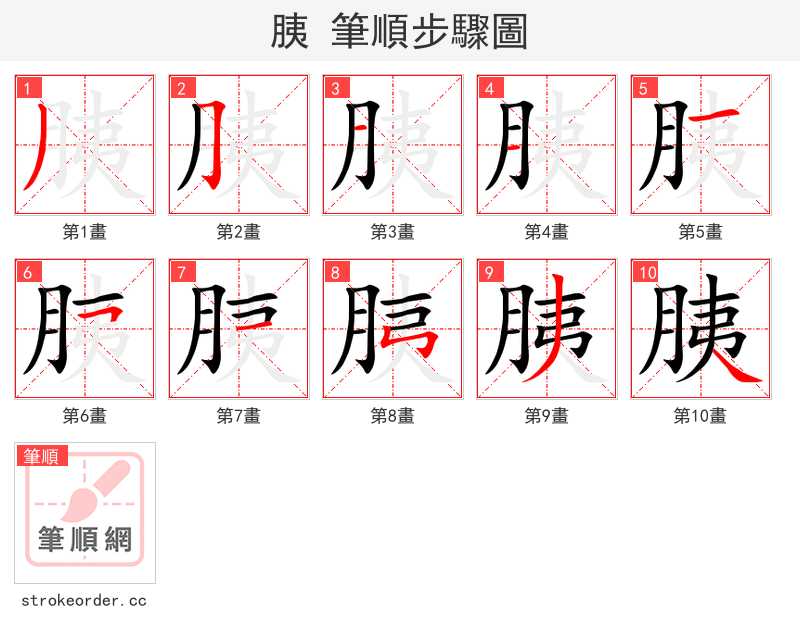 胰 的笔顺分步演示（一笔一画写字）