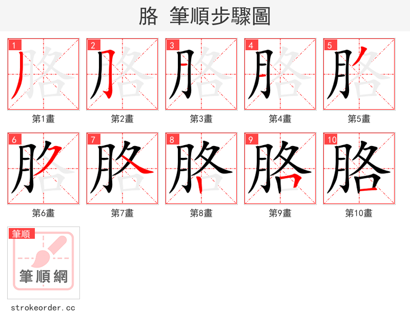 stroke order steps of 胳