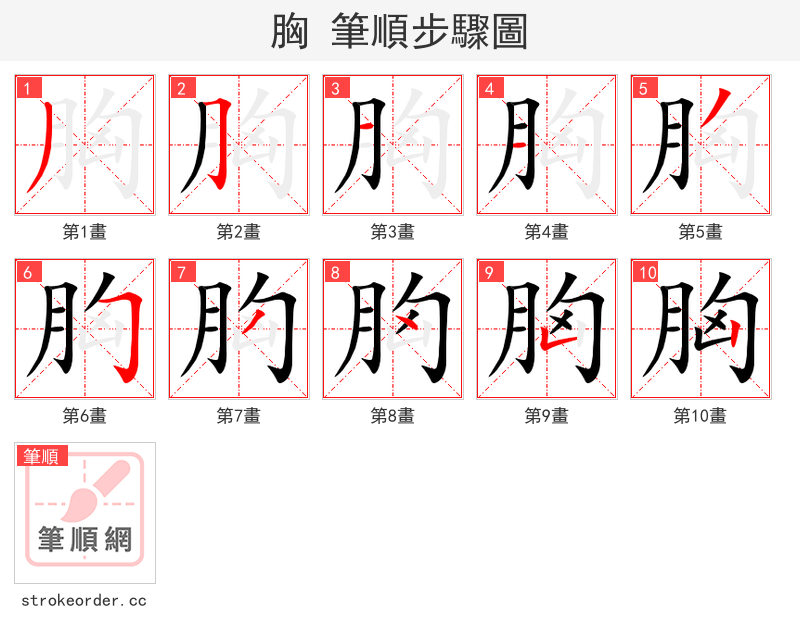 胸 的笔顺分步演示（一笔一画写字）
