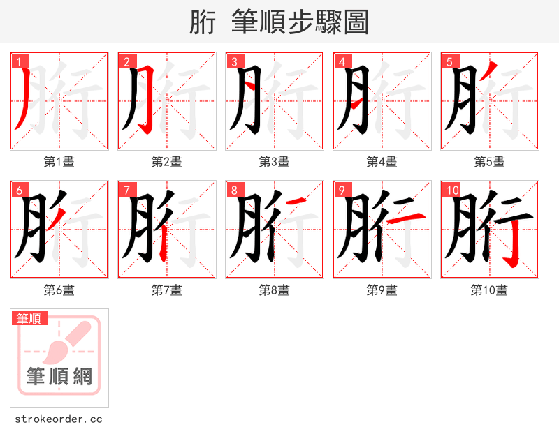 胻 的笔顺分步演示（一笔一画写字）