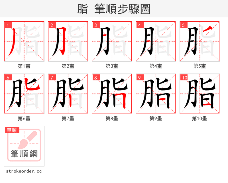 脂 的笔顺分步演示（一笔一画写字）