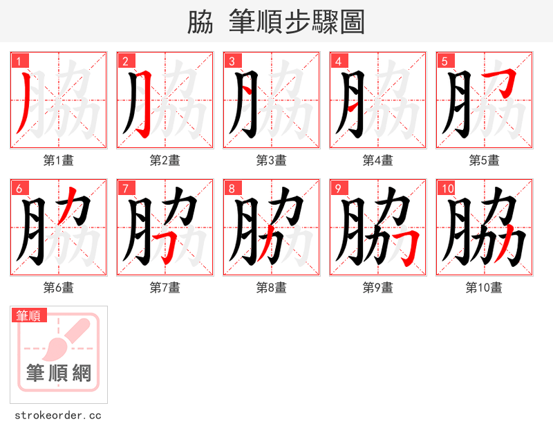 脇 的笔顺分步演示（一笔一画写字）
