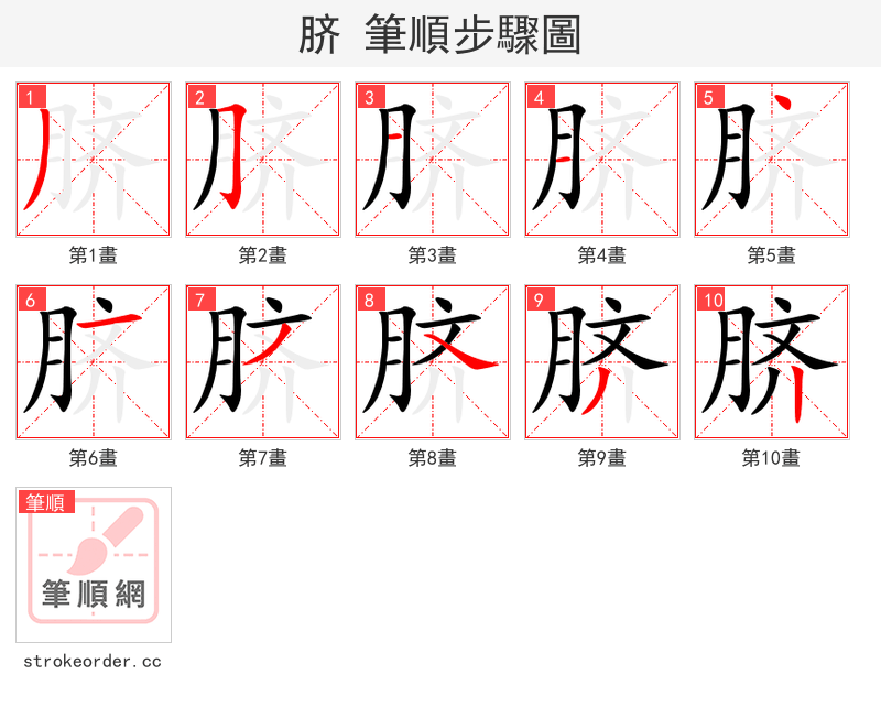 脐 的笔顺分步演示（一笔一画写字）