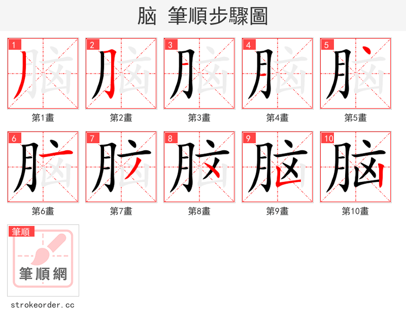脑 的笔顺分步演示（一笔一画写字）
