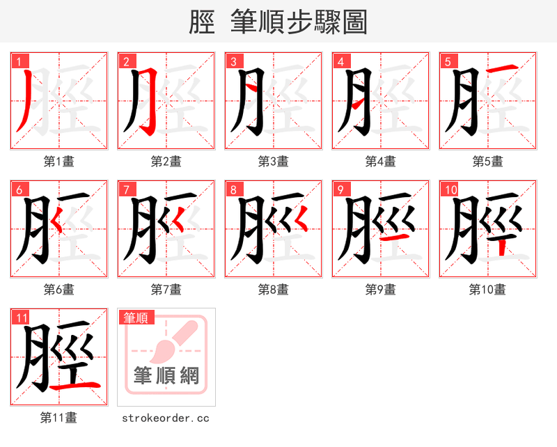 脛 的笔顺分步演示（一笔一画写字）