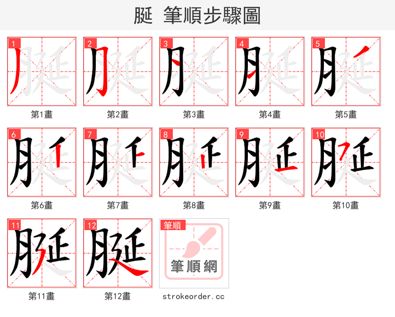 脠 的笔顺分步演示（一笔一画写字）
