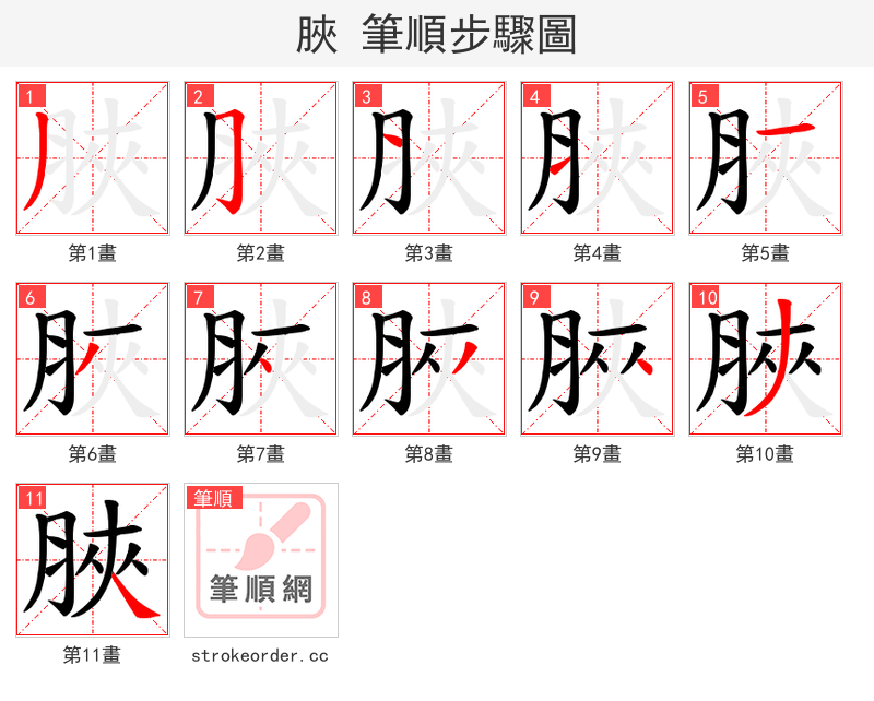 脥 的笔顺分步演示（一笔一画写字）