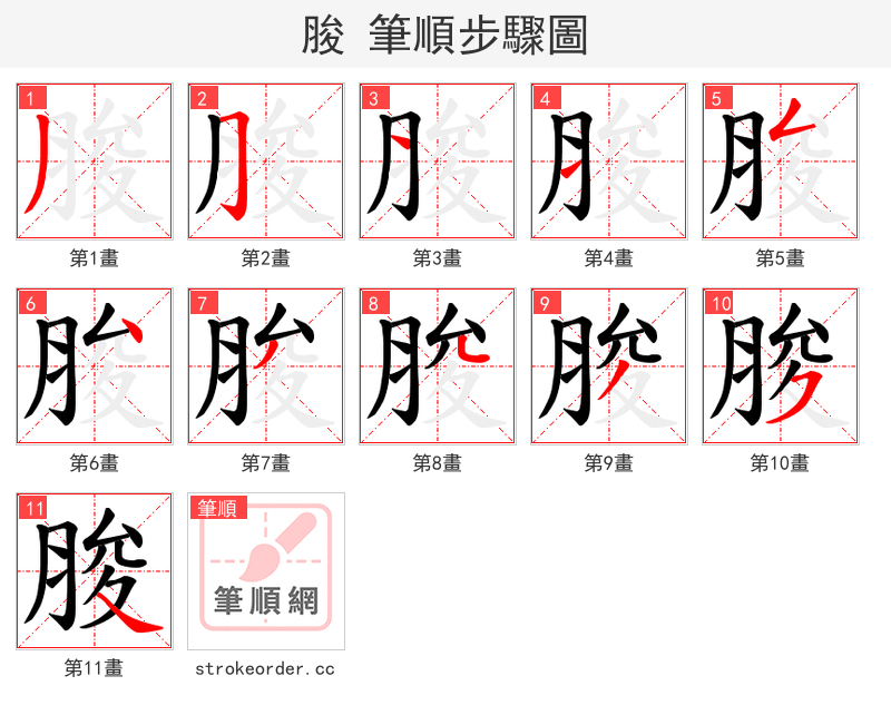 脧 的笔顺分步演示（一笔一画写字）