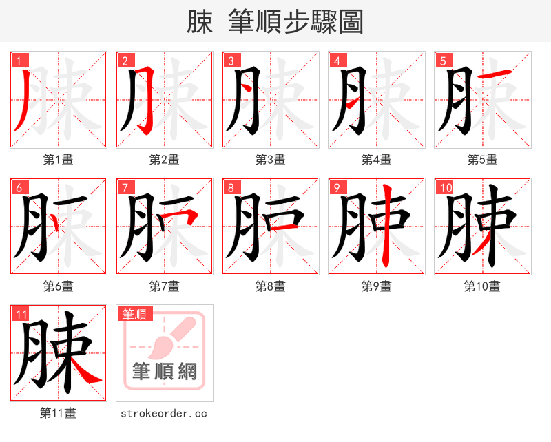 脨 的笔顺分步演示（一笔一画写字）