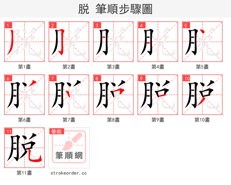 脱 的笔顺分步演示（一笔一画写字）
