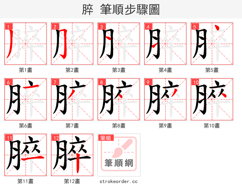 脺 的笔顺分步演示（一笔一画写字）