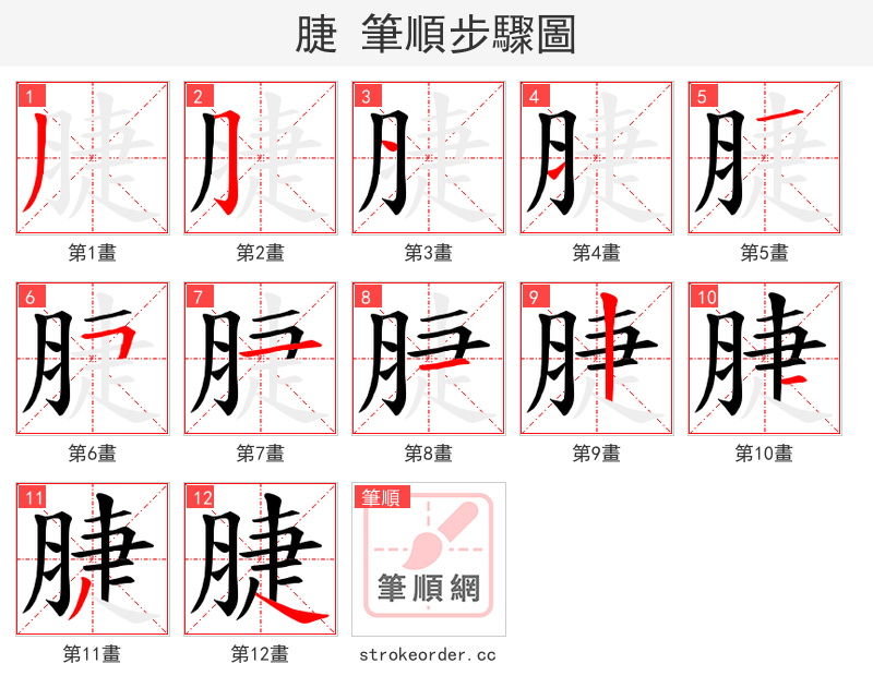 脻 的笔顺分步演示（一笔一画写字）
