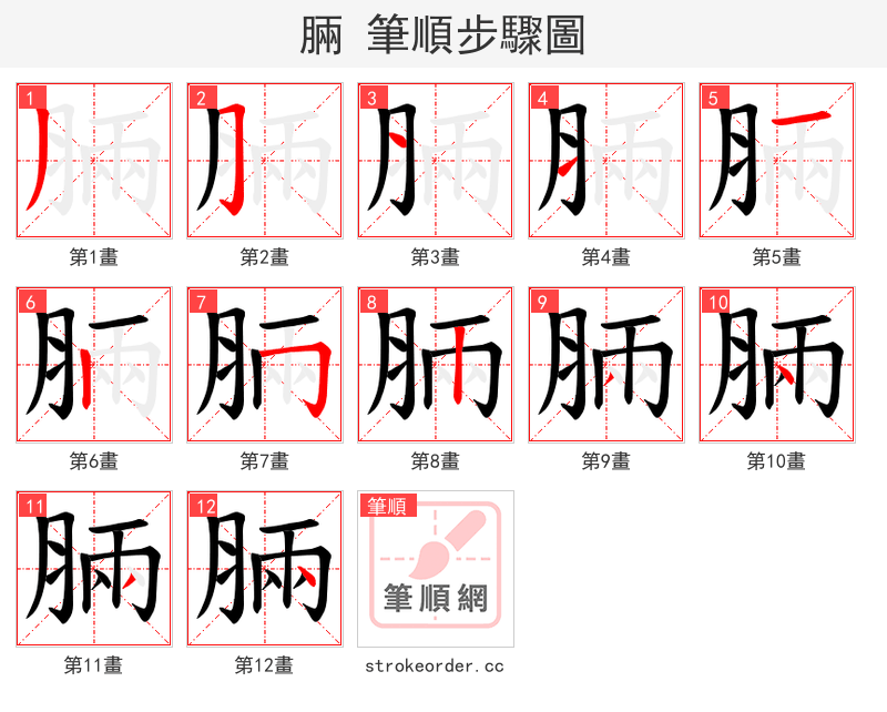 脼 的笔顺分步演示（一笔一画写字）