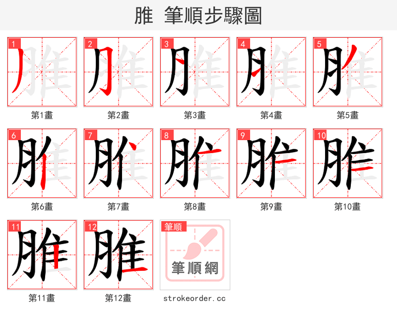 脽 的笔顺分步演示（一笔一画写字）