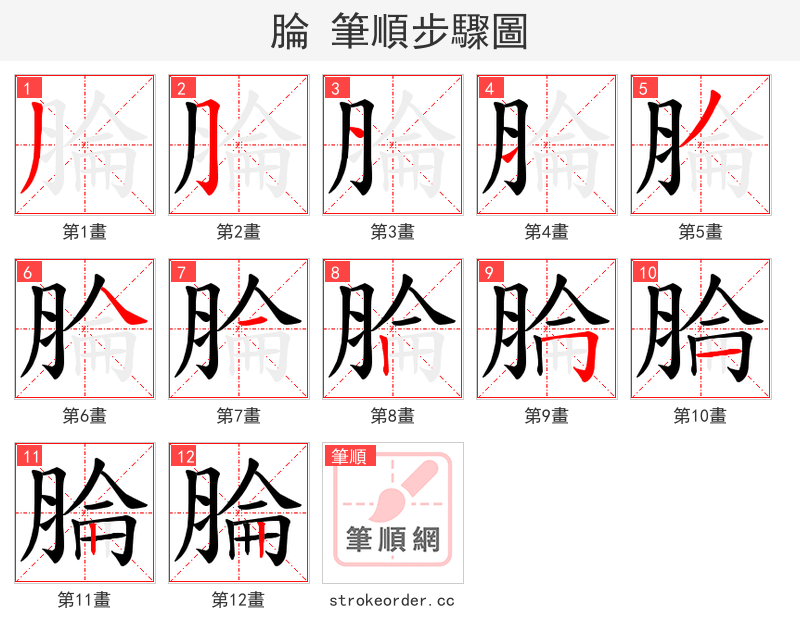 腀 的笔顺分步演示（一笔一画写字）