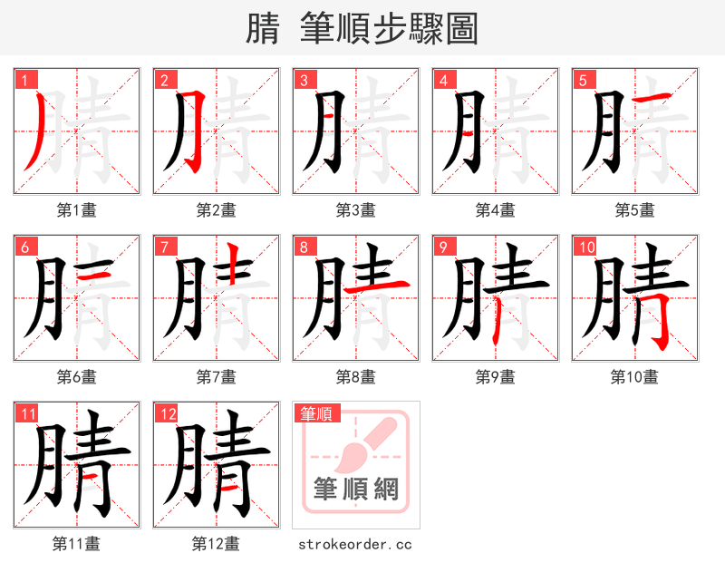 腈 的笔顺分步演示（一笔一画写字）