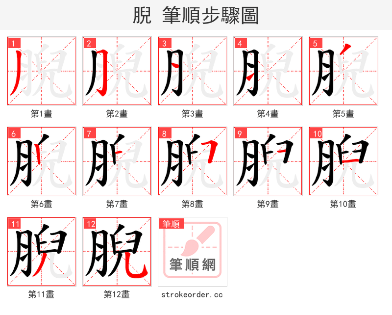 腉 的笔顺分步演示（一笔一画写字）