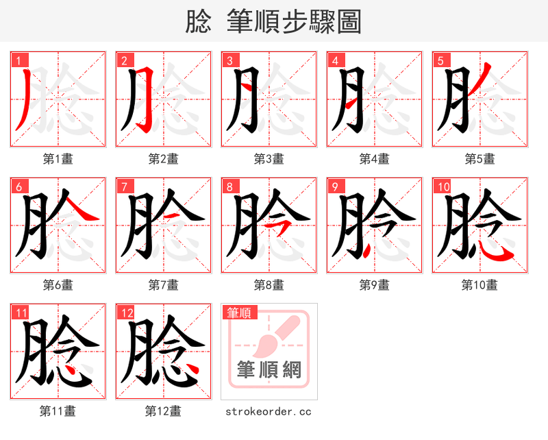 腍 的笔顺分步演示（一笔一画写字）