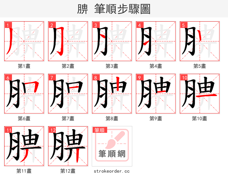 腗 的笔顺分步演示（一笔一画写字）