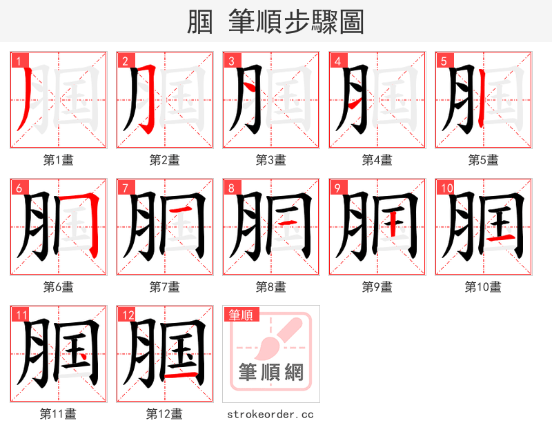 腘 的笔顺分步演示（一笔一画写字）