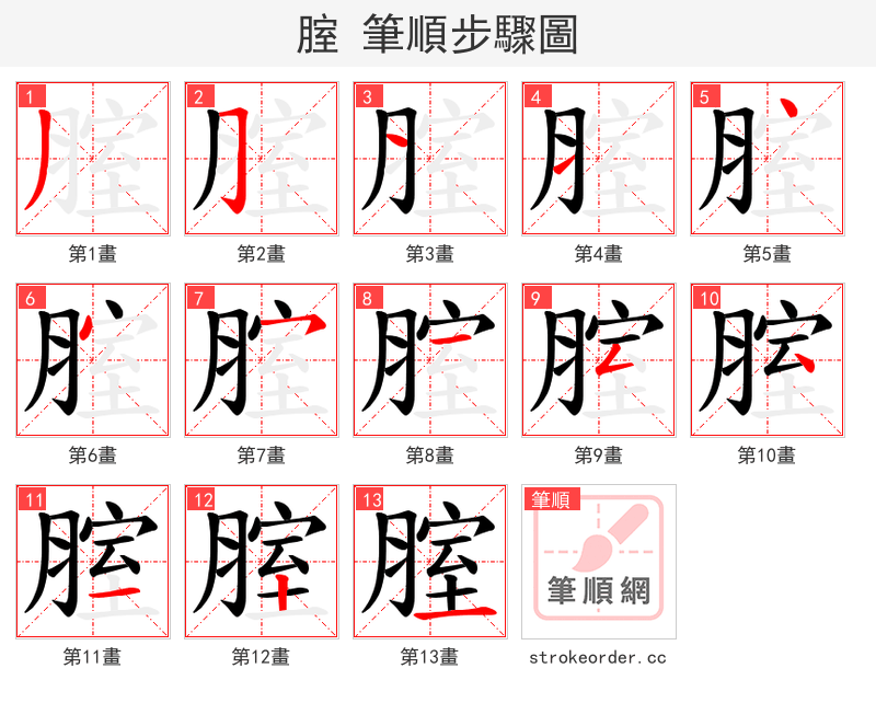 腟 的笔顺分步演示（一笔一画写字）