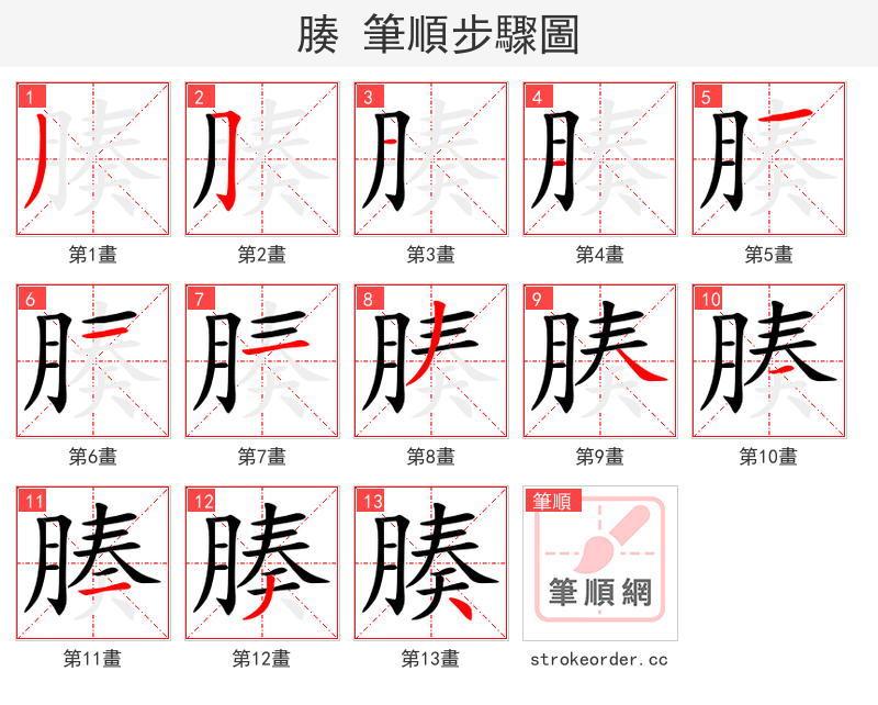 腠 的笔顺分步演示（一笔一画写字）