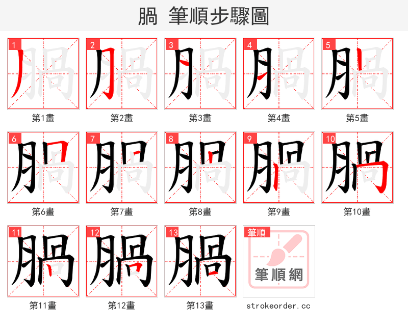 腡 的笔顺分步演示（一笔一画写字）