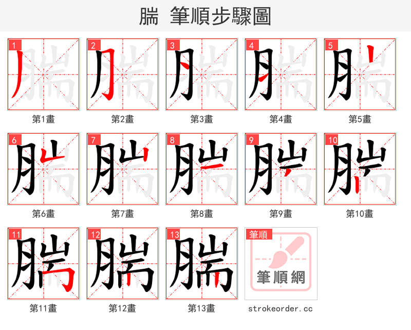 腨 的笔顺分步演示（一笔一画写字）