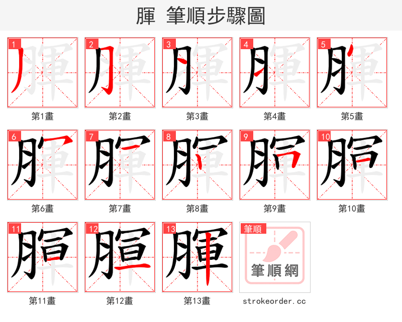 腪 的笔顺分步演示（一笔一画写字）