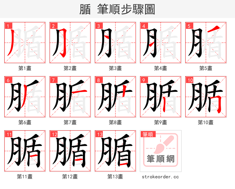 腯 的笔顺分步演示（一笔一画写字）
