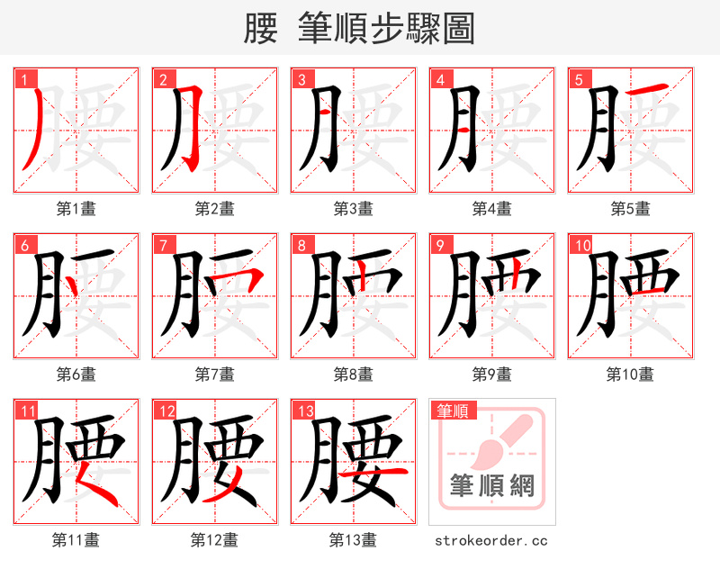 stroke order steps of 腰