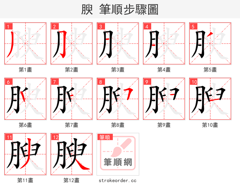 腴 的笔顺分步演示（一笔一画写字）