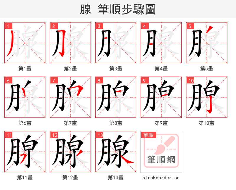 腺 的笔顺分步演示（一笔一画写字）
