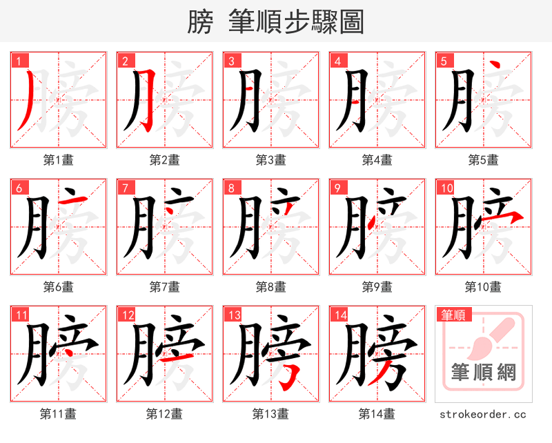 膀 的笔顺分步演示（一笔一画写字）