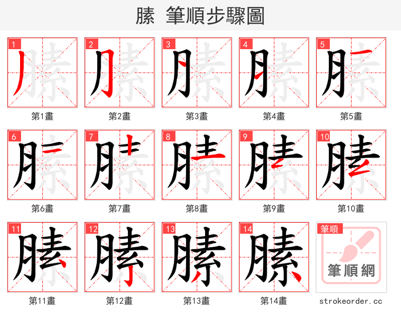 膆 的笔顺分步演示（一笔一画写字）