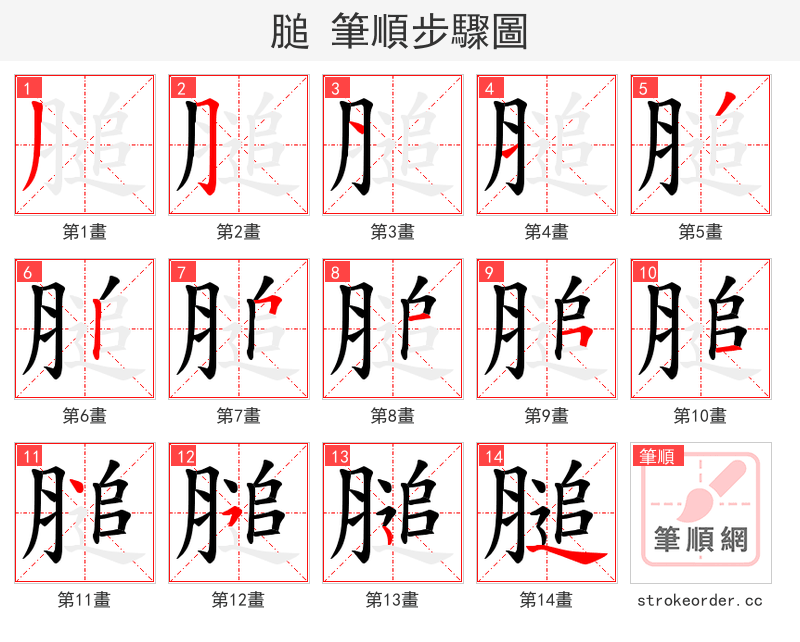 膇 的笔顺分步演示（一笔一画写字）