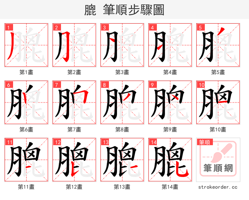 膍 的笔顺分步演示（一笔一画写字）