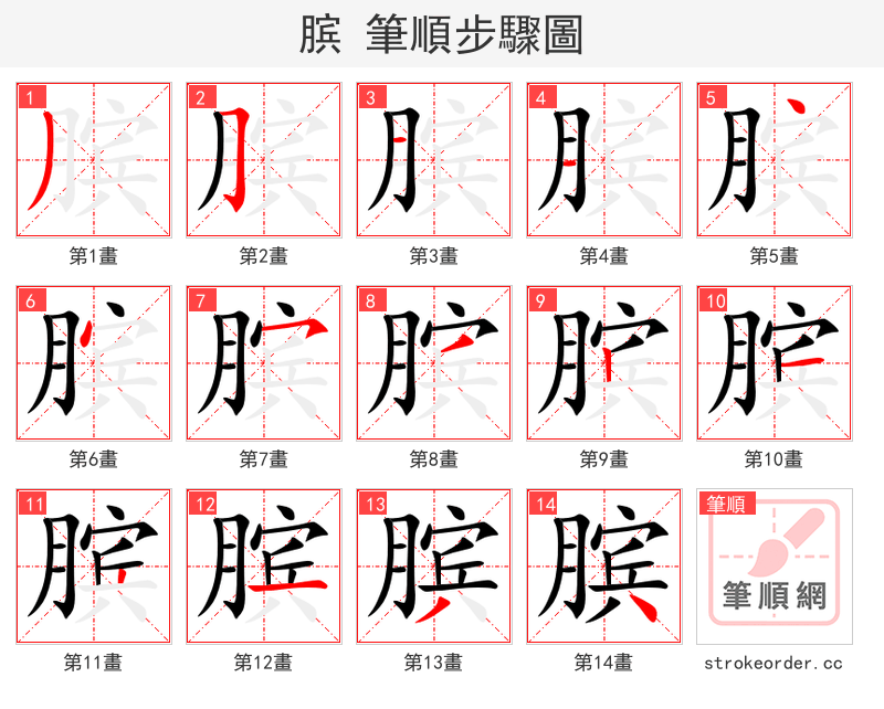 膑 的笔顺分步演示（一笔一画写字）