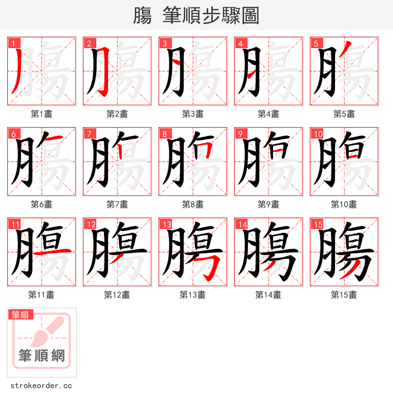 膓 的笔顺分步演示（一笔一画写字）
