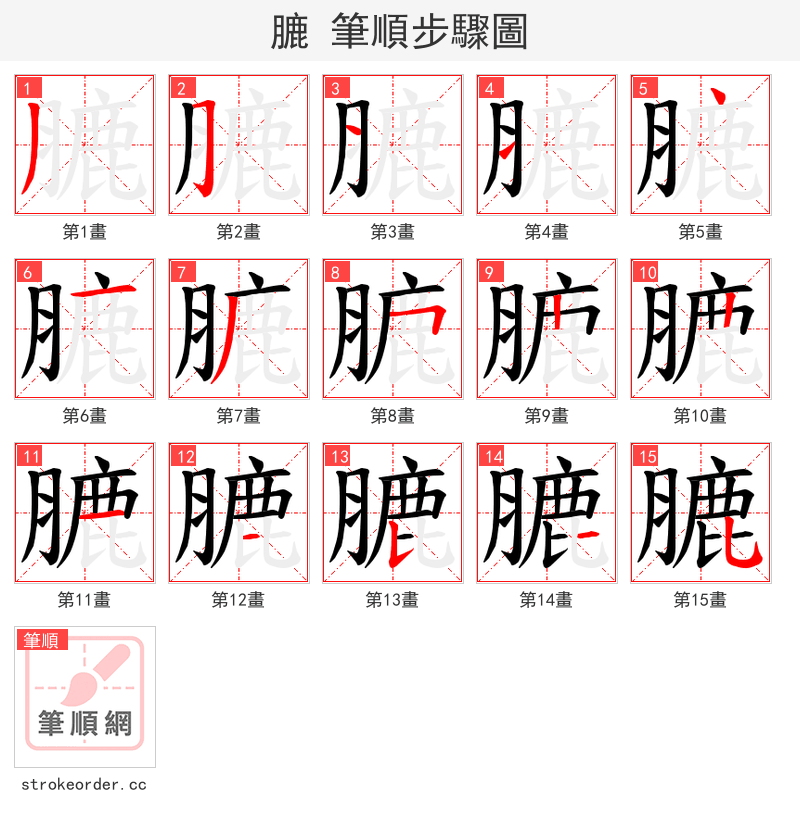 膔 的笔顺分步演示（一笔一画写字）