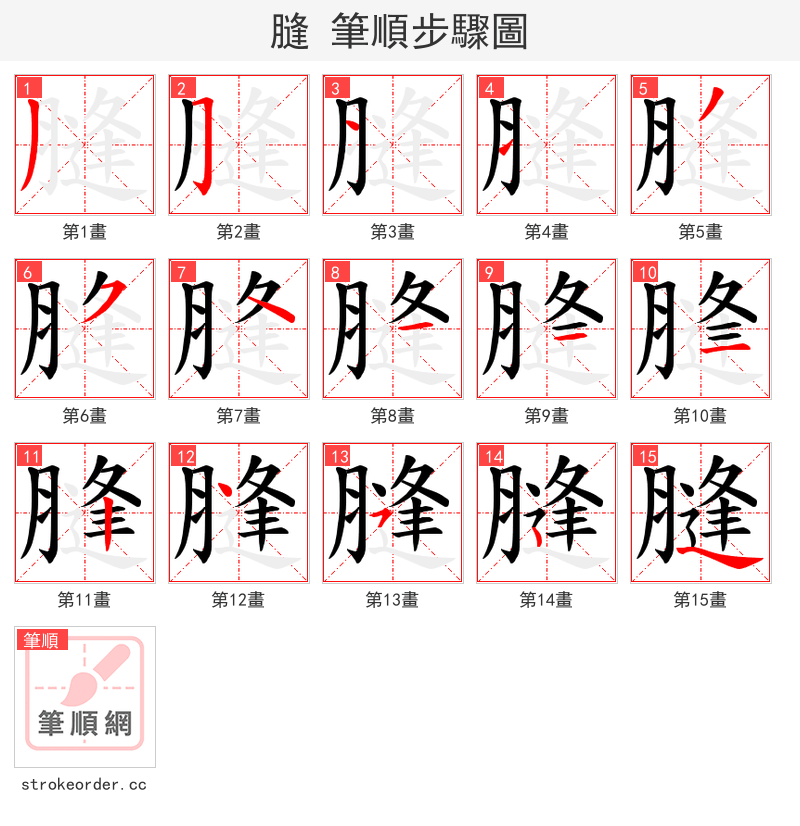 膖 的笔顺分步演示（一笔一画写字）