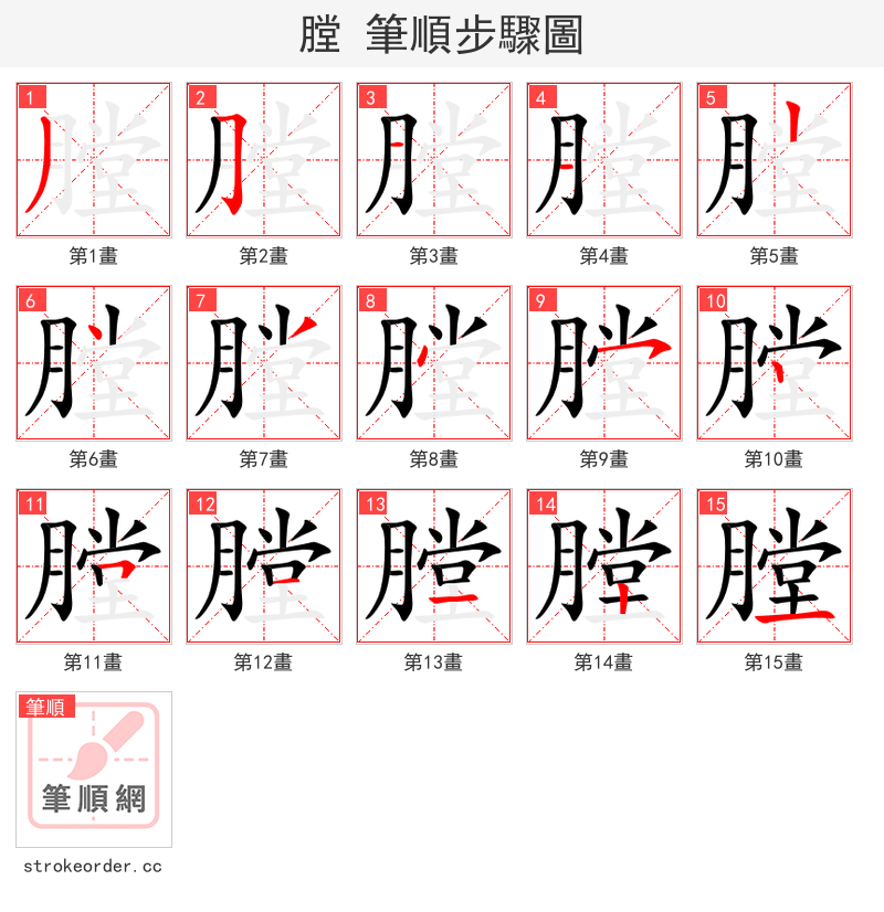 膛 的笔顺分步演示（一笔一画写字）