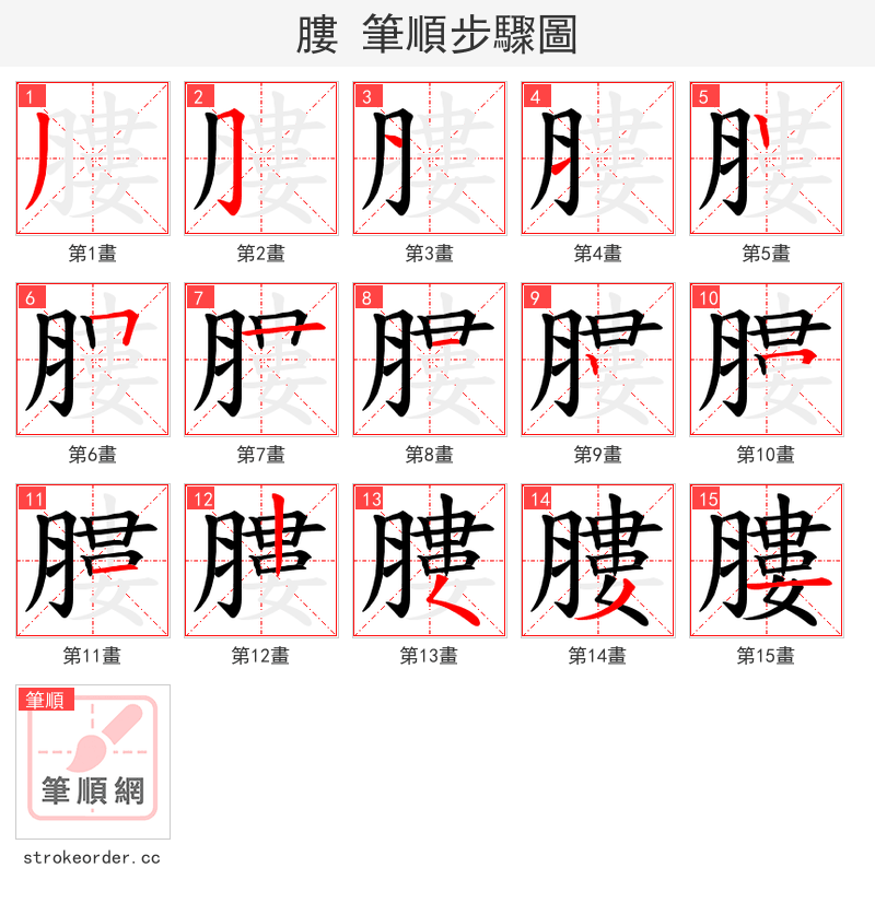 膢 的笔顺分步演示（一笔一画写字）