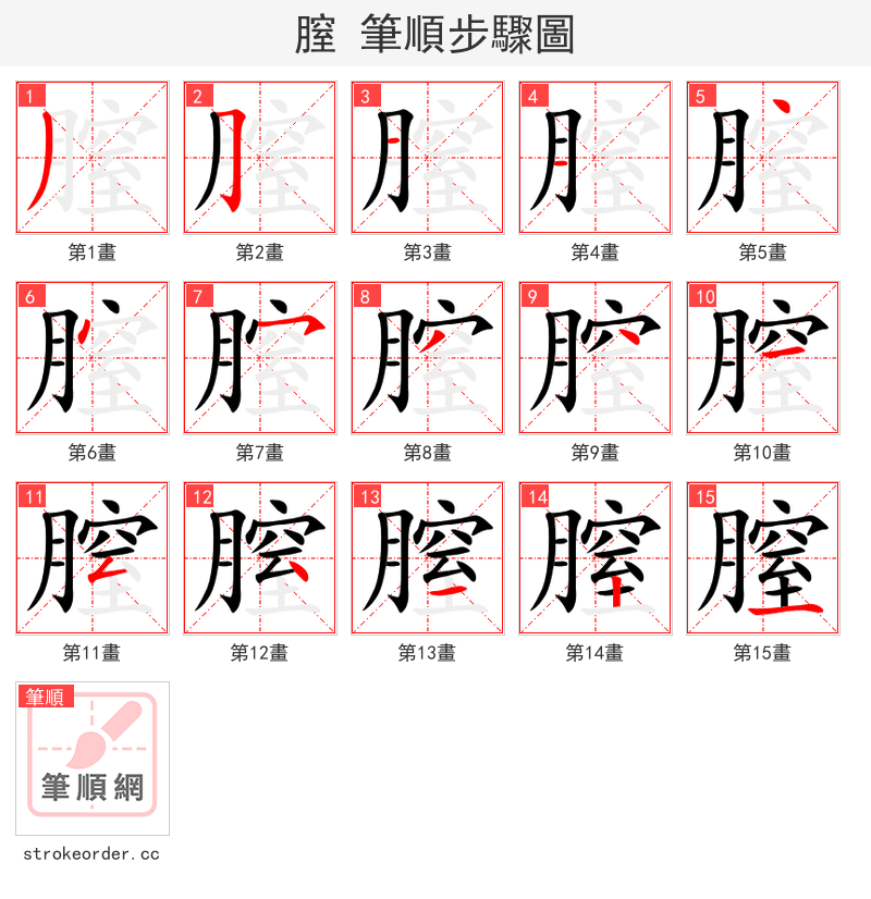 膣 的笔顺分步演示（一笔一画写字）