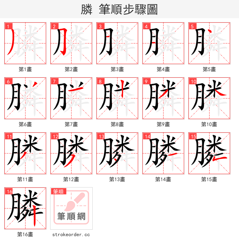 膦 的笔顺分步演示（一笔一画写字）